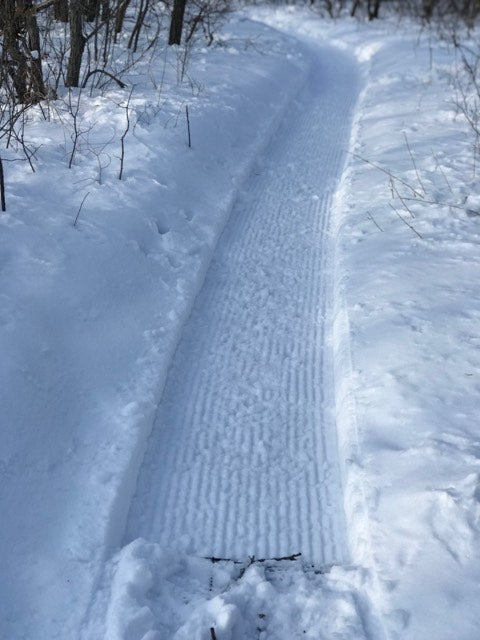 Snowdog Trail Grooming